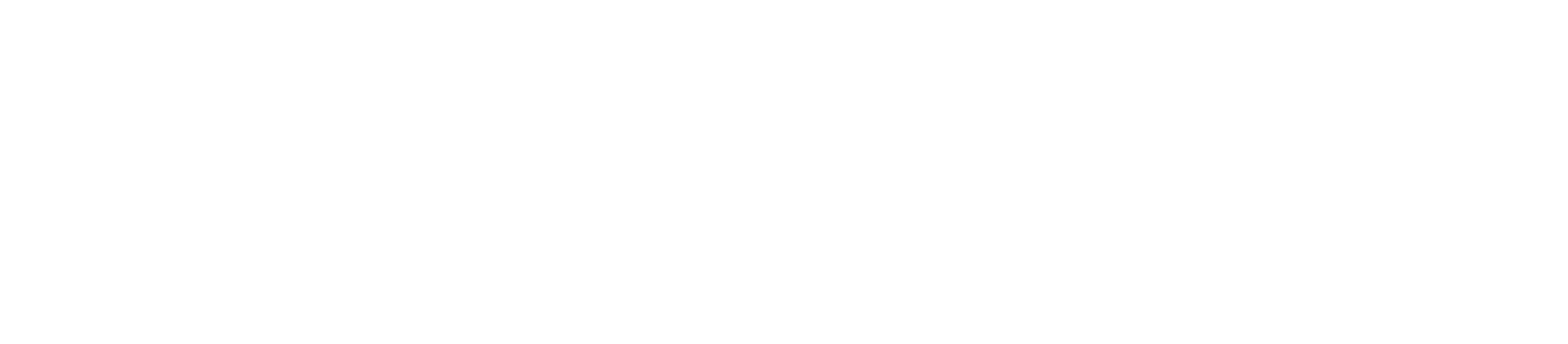 Formação de Franqueadores